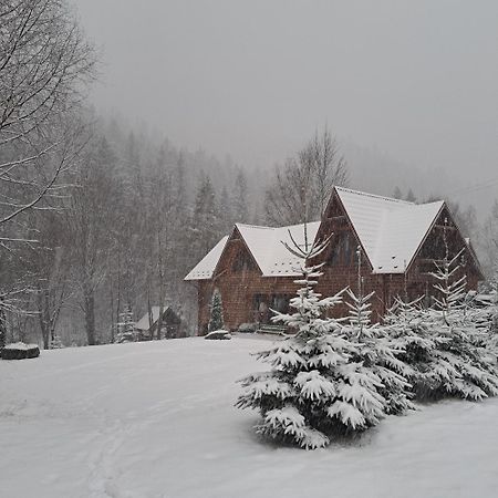 Зарінок Карпат Villa Mikulicsin Kültér fotó